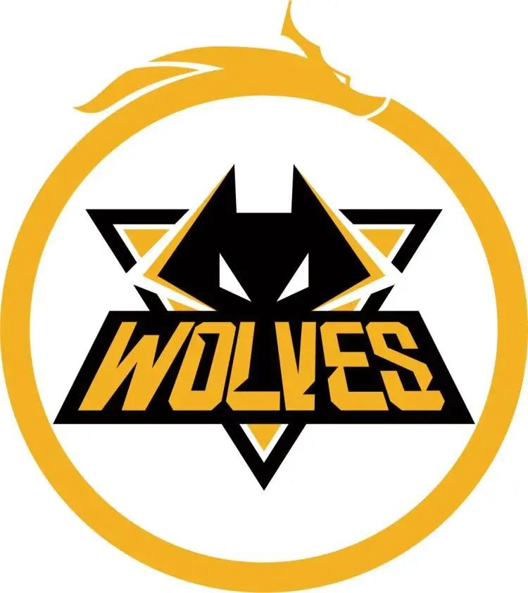 GALA：红色方BP时把OP英雄放出来更好 我们有机会夺冠